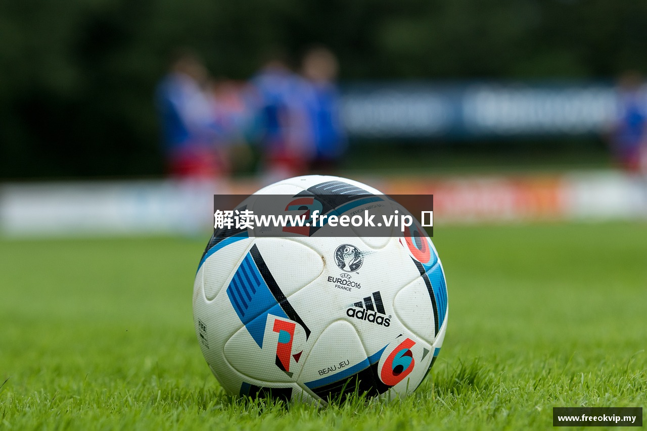 解读www.freeok.vip ​